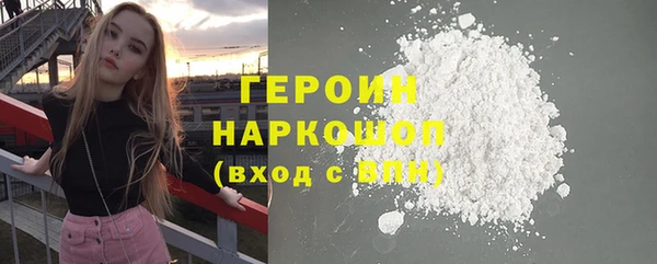 гашик Алексин