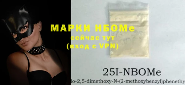 гашик Алексин