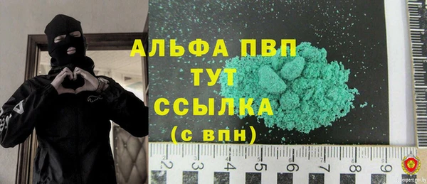 гашик Алексин