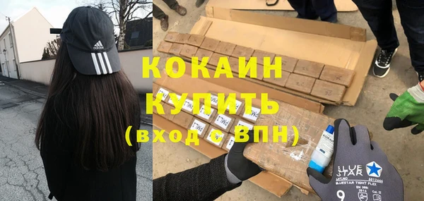 гашик Алексин