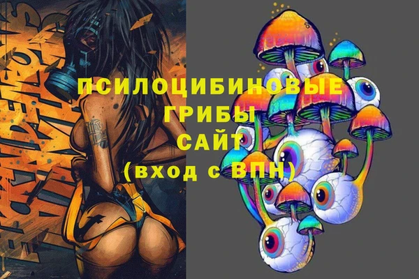гашик Алексин