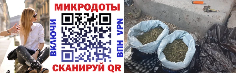 Псилоцибиновые грибы мицелий  Арзамас 